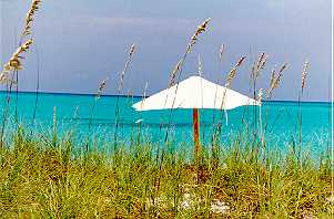 bahamas.jpg (125046 bytes)
