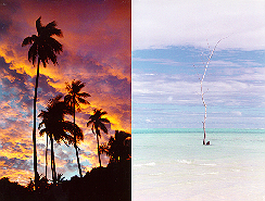 borabora.jpg (77241 bytes)
