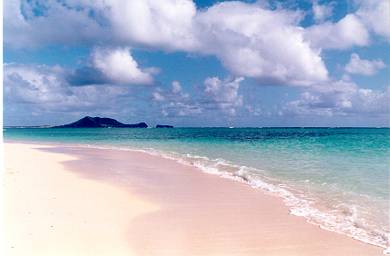 oahu.jpg (160772 bytes)
